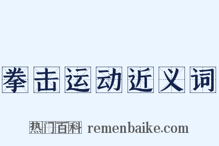 拳击运动近义词是什么意思的图片